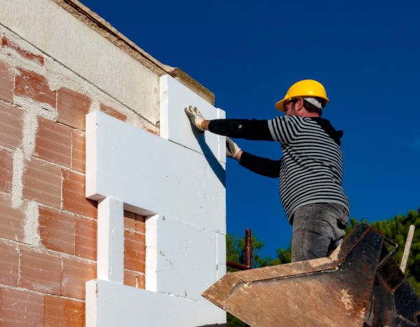 Best Insulation for New Construction  in Lake Holiday, VA