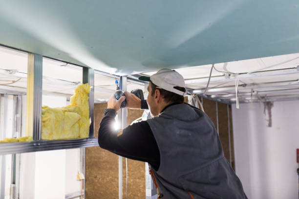 Best Affordable Insulation Services  in Lake Holiday, VA