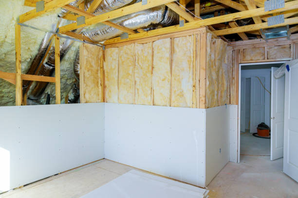 Best Attic Insulation Installation  in Lake Holiday, VA