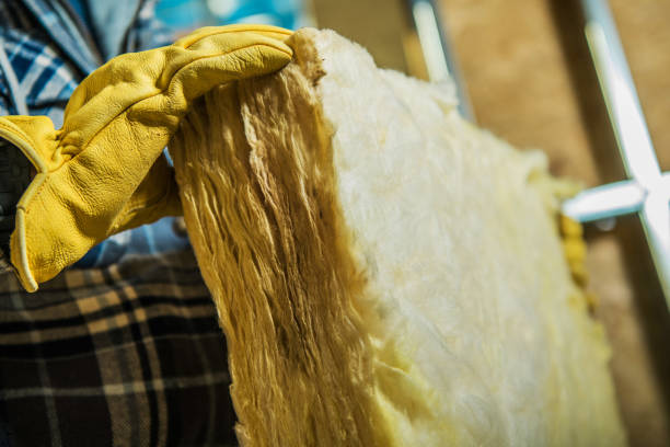 Best Best Insulation Companies  in Lake Holiday, VA