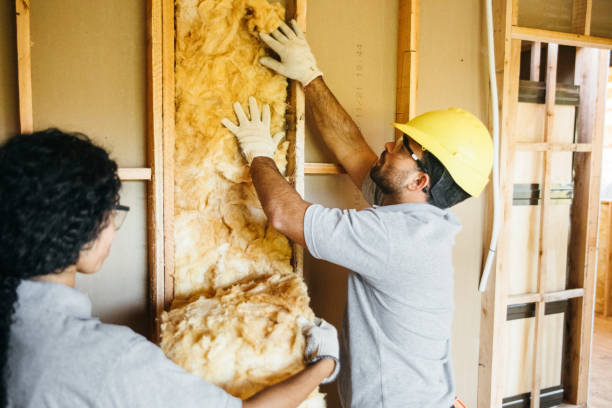 Lake Holiday, VA Insulation Contractor Company