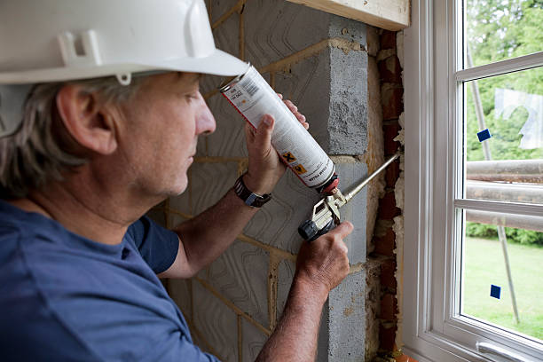 Best Residential Insulation Services  in Lake Holiday, VA