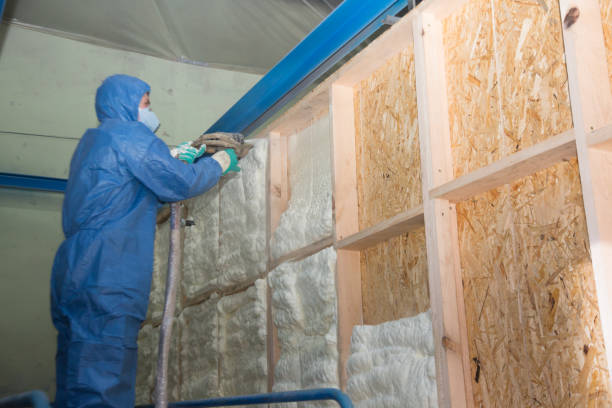 Best Local Insulation Services  in Lake Holiday, VA