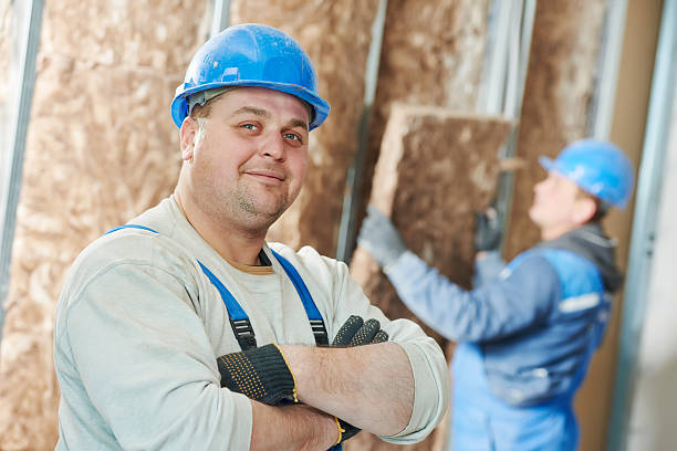 Professional Insulation Contractor in Lake Holiday, VA