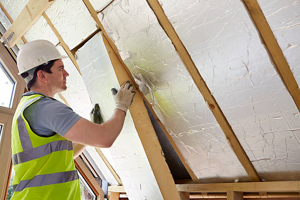 Best Insulation Inspection Services  in Lake Holiday, VA