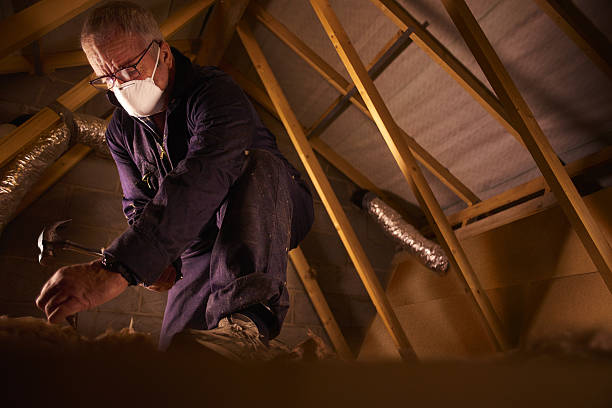 Best Local Insulation Services  in Lake Holiday, VA