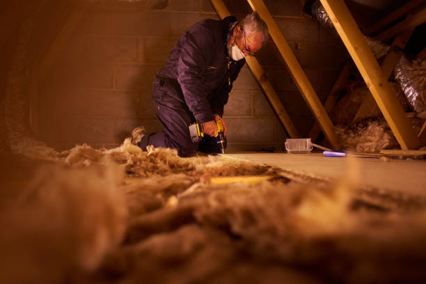 Best Home Insulation Services  in Lake Holiday, VA