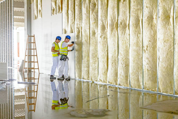 Best Insulation for New Construction  in Lake Holiday, VA